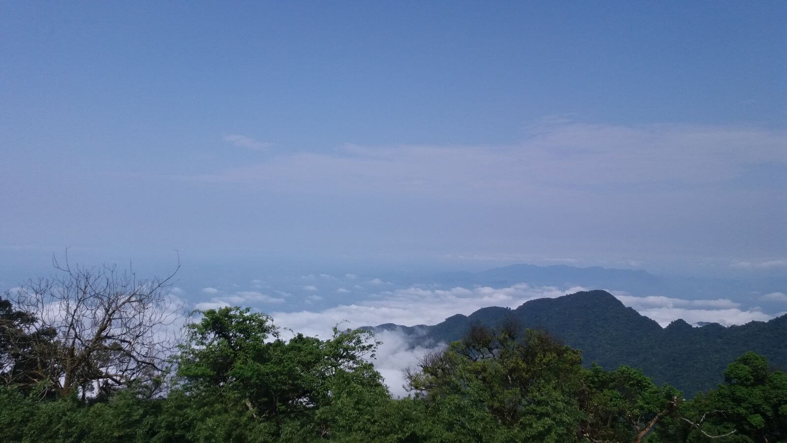 Tam Dao mountain